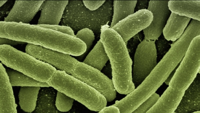 I Batteri possono diventare super-resistenti