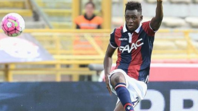 Diawara, rivelazione del Bologna.