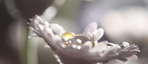 Eros: la vida, el amor, el sexo.