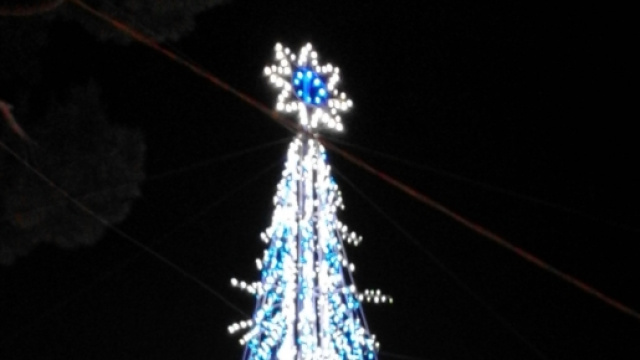 Il gigantesco abete illuminato
