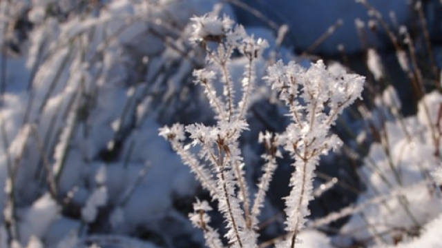 Meteo Dicembre 2015, Natale e Santo Stefano