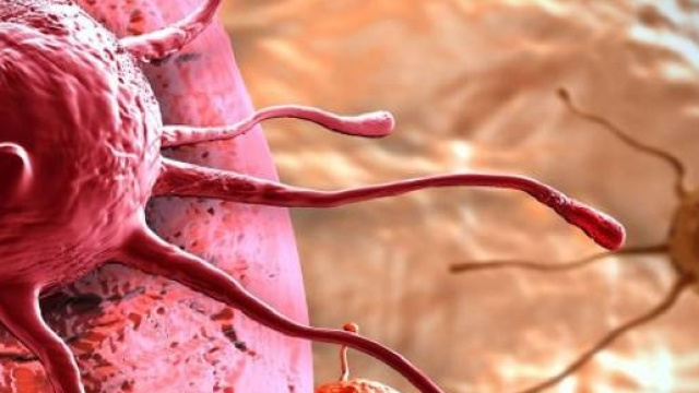 peptide, sostanza chimica contro cancro