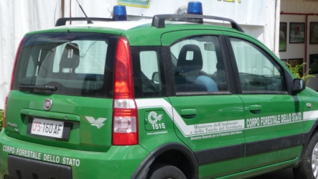 foto mezzo corpo forestale dello stato