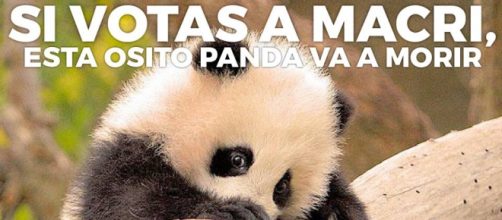 Una de las s&aacute;tiras que circula por las redes