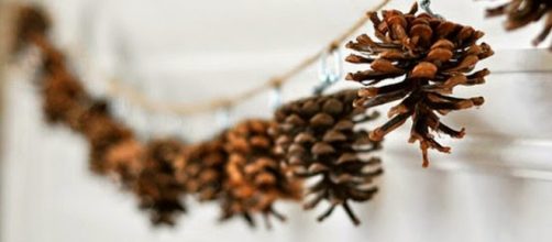 Pi&ntilde;as para decoraciones oto&ntilde;ales, guirnalda