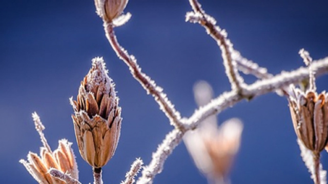 Previsioni del tempo inverno 2015/16