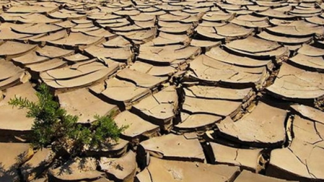 Il valore e il bisogno dell'acqua oggi