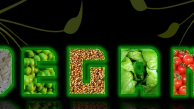 La porcellana non &egrave; vegan, ecco perch&egrave;.