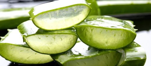 Receta para elaborar un gel de Aloe Vera casero