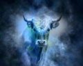 Horóscopo de Tauro de 14 a 20 de diciembre