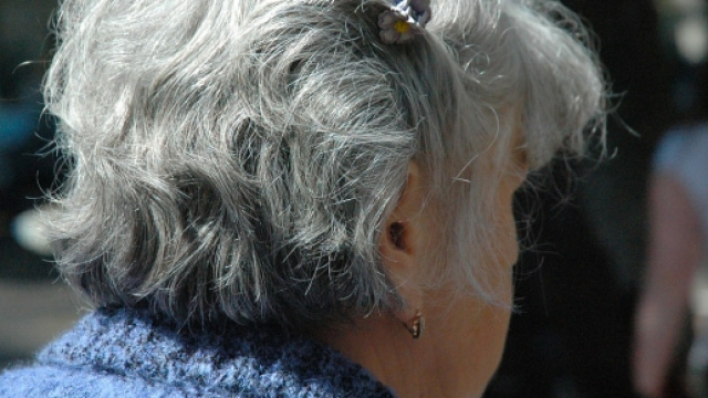 Riforma pensioni, ultime sulle anticipate