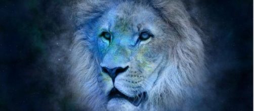 El le&oacute;n (de 23 de julio a 22 de agosto)