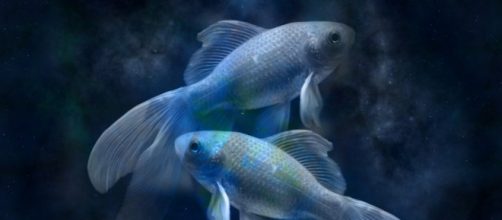 Piscis, de 23 de febrero a 21 de marzo