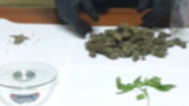 La droga sequestrata dai carabinieri nel Nisseno