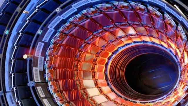 Il Cern potrebbe aver fatto una nuova scoperta