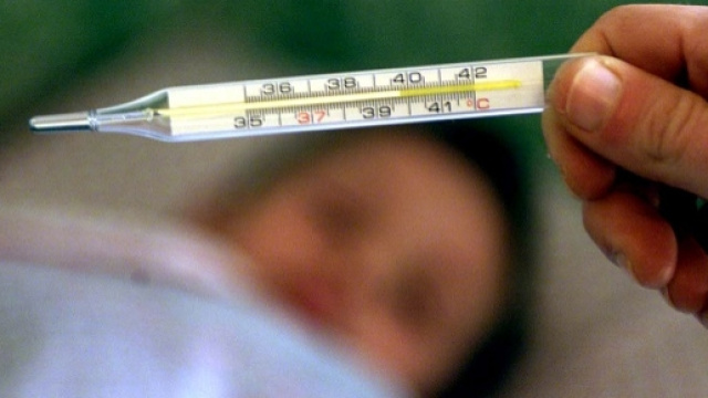 Influenza 2015/6 ultime news 3 dicembre