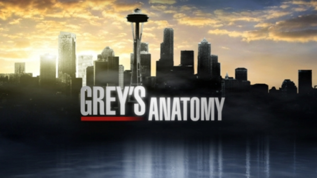 Grey's Anatomy va in onda su Fox il 21/12