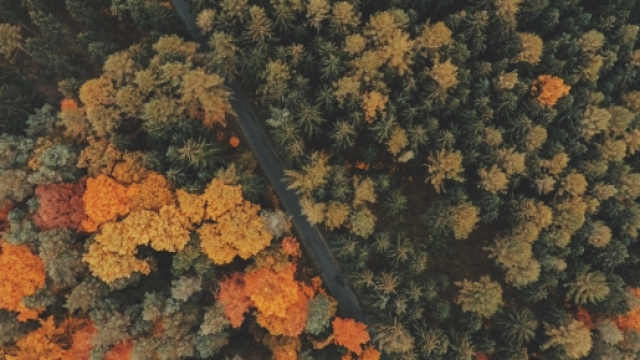 Le serie tv pi&ugrave; attese del 2016