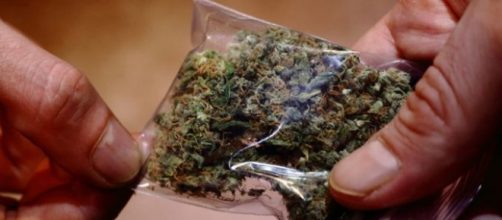 La marihuana ya es legal en Colombia