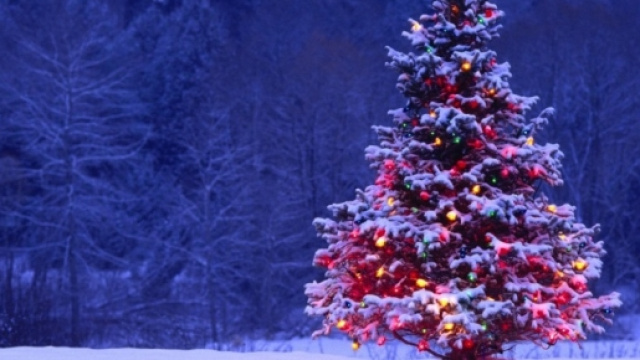 Natale, tempo di auguri: stop alle polemiche