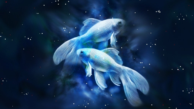 Oroscopo del giorno, sabato 26 dicembre 2015