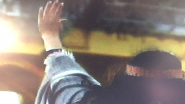 Stop all'inquinamento e alla deforestazione