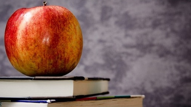 Anno di prova e formazione docenti della scuola