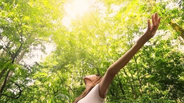 Combattere l'inquinamento con i micronutrienti.