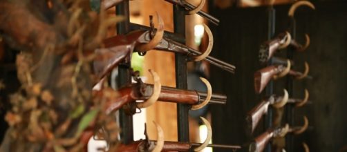 Hunting rifles. (Pixabay commons)