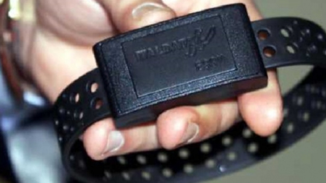 Arezzo: tatuaggio ed allergia scagionano Graziano?