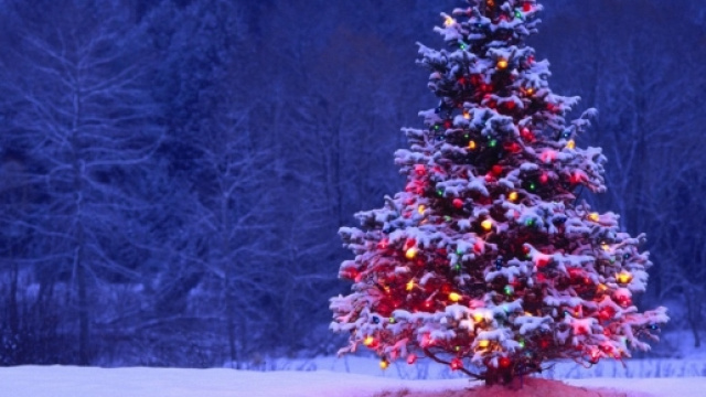 Un classico Albero di Natale innevato