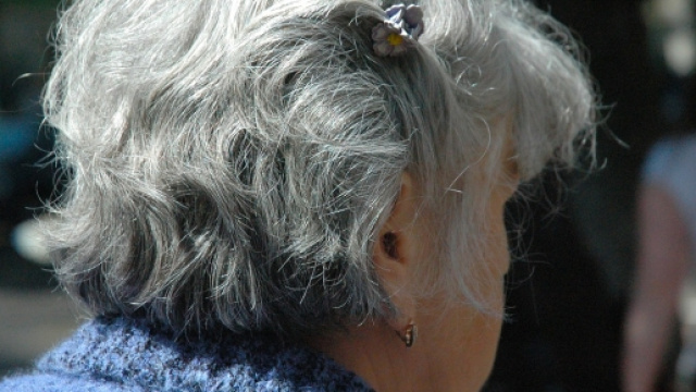 Riforma pensioni, ultime su esodati e precoci