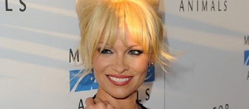 Anderson will feature in Playboy's next issue