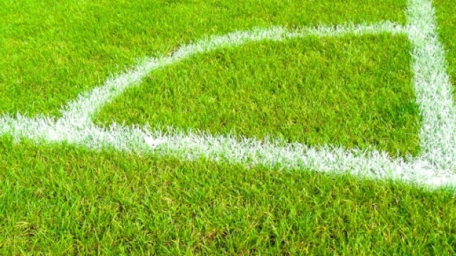 Pronostici Perugia-Novara e Brescia-Pescara