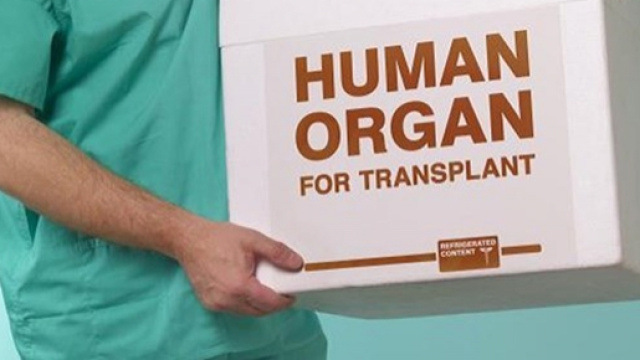 Arrestato trafficante di organi umani