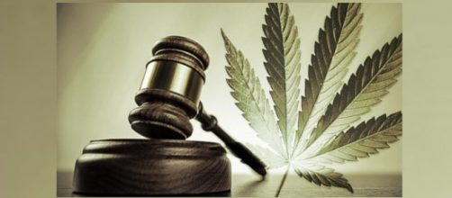 C&acirc;mara do DF aprova Canabidiol