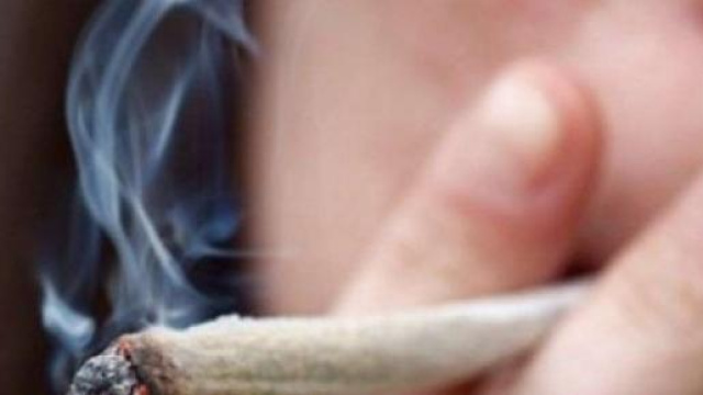 Cannabis nociva in et&agrave; di sviluppo