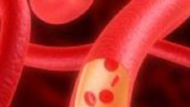 Vasi sanguigni base della circolazione del sangue