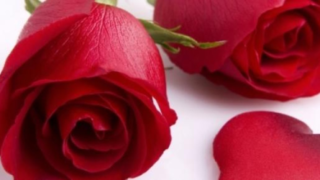 Buon San Valentino 2015: tante frasi romantiche