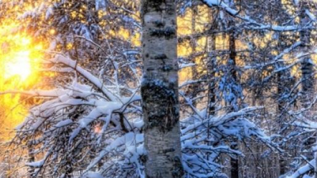 Previsioni meteo inverno 2015: febbraio-marzo