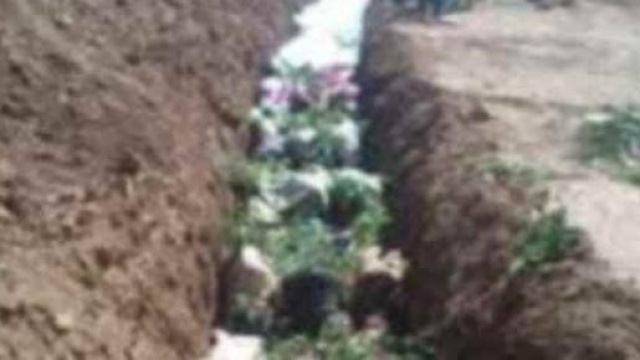 Fosse comuni celano corpi con organi espiantati.