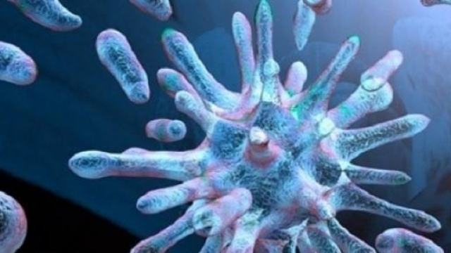 Influenza 2015, sintomi e rimedi contro la suina