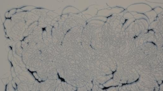 Nuage de Bertille Argueyrolles