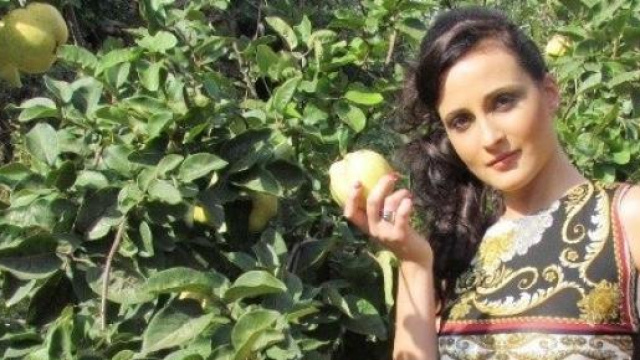 Agricoltura, novit&agrave; e scadenze Imu sui terreni