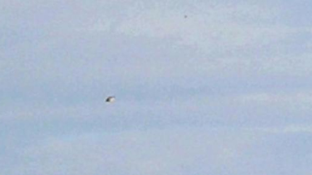 Ufo: avvistamento vicino ad Ancona