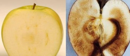 El proceso de pardeamiento de la manzana