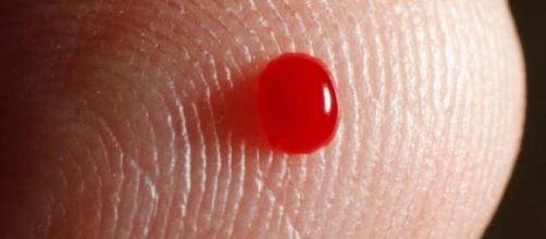 Crean prueba r&aacute;pida para detectar &eacute;bola