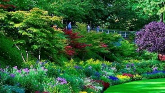 Quando arriver&agrave; la primavera 2015?