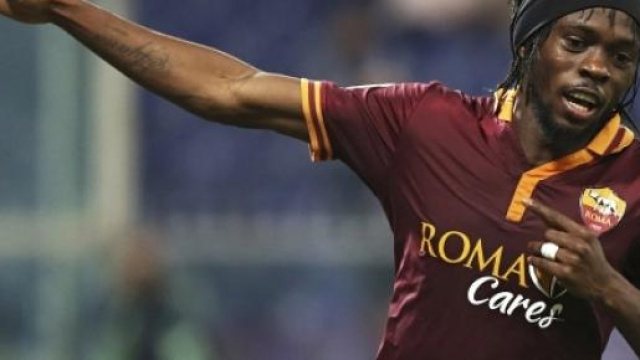 Una bella immagine di Gervinho