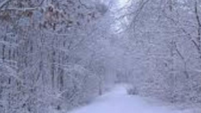 Previsioni meteo marzo 2015.